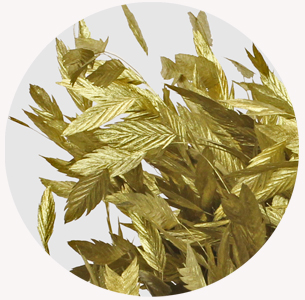 Хасмантиум крашеный золотой (Gold)
