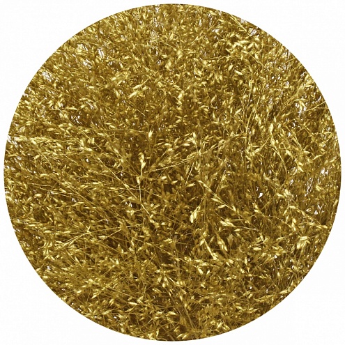 Паникум крашеный золотой (Panicum gold)