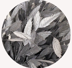 Хасмантиум крашеный серебряный (Silver)