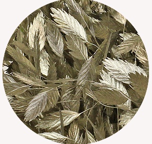 Хасмантиум крашеный платиновый (Platinum)