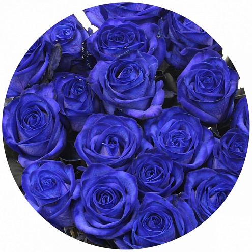 Роза Вендела синяя (Vendela blue)
