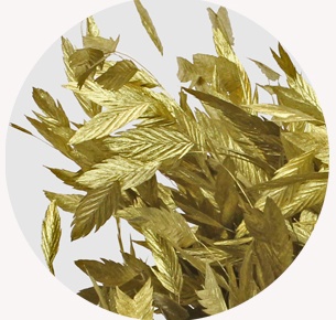 Хасмантиум крашеный золотой (Gold)